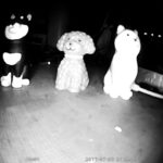 赤外線では反射に気を付けて下さい。